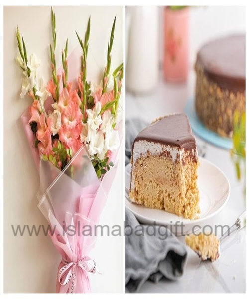 3 milk cake Gladiolus