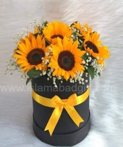 sun flower box